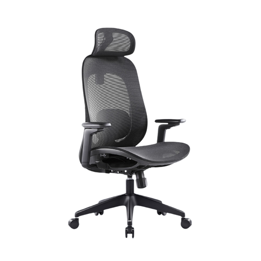 GALORA Ergonomic Office Chair