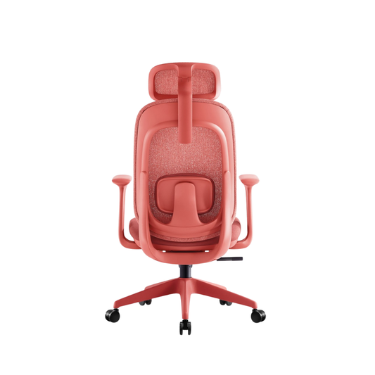 LUMORA Ergonomic Office Chair