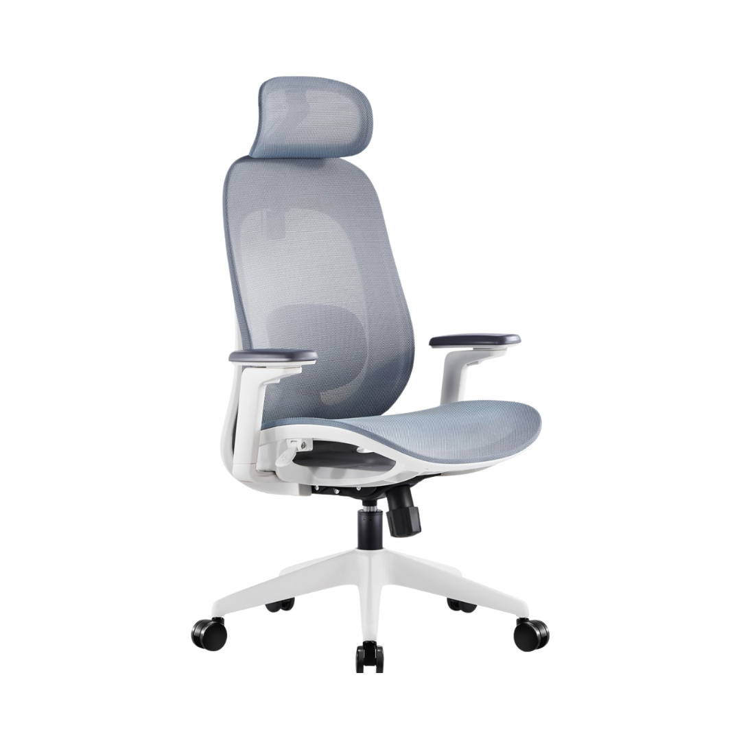 GALORA Ergonomic Office Chair