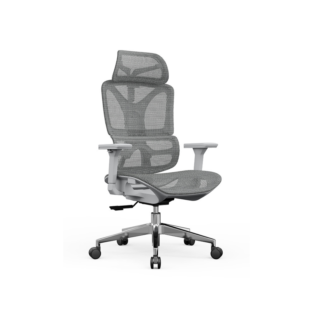 SELORA Ergonomic Office Chair (Mesh Seat)
