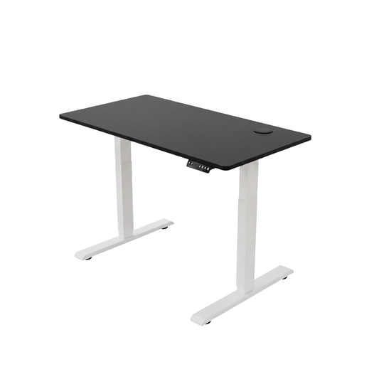 ENSŌ Elevate Standing Desk - Black