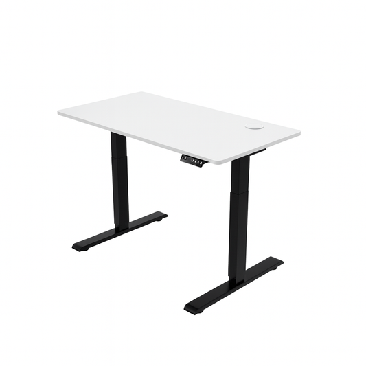 ENSŌ Elevate Standing Desk - White