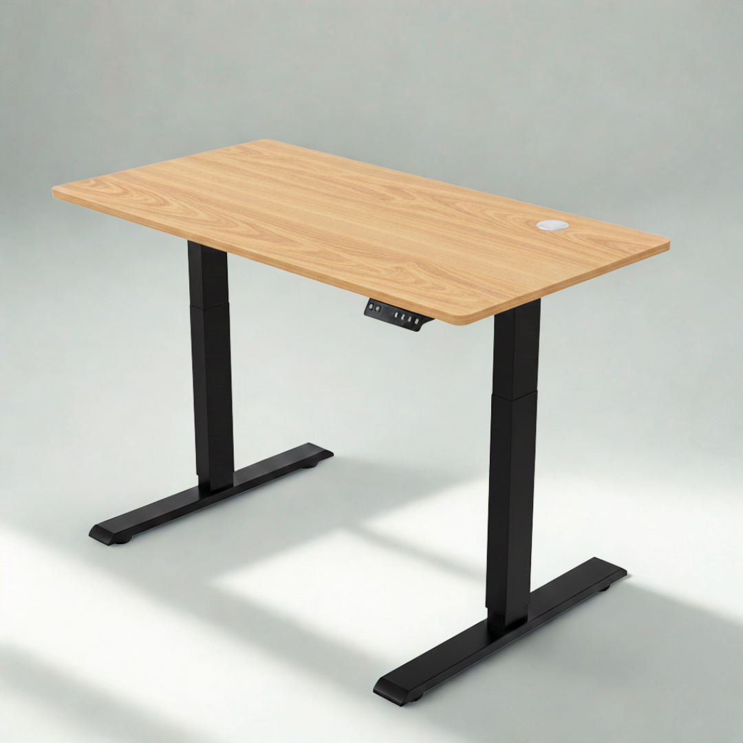Ergonomic Chair & Standing Desk Bundle