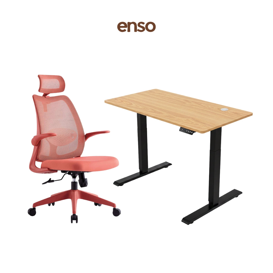 ELVORA Office Chair + ENSO Classic Standing Desk Bundle