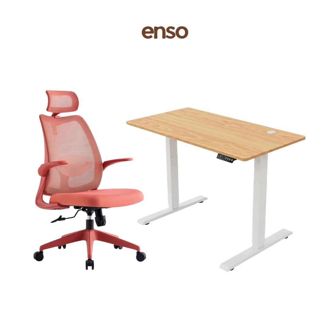 ELVORA Office Chair + ENSO Classic Standing Desk Bundle