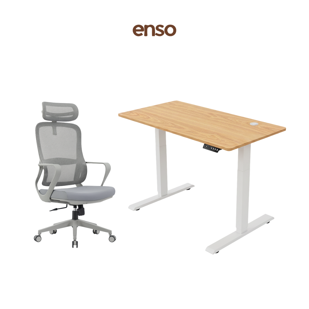 CALORA Ergonomic Office Chair + ENSO Standing Desk Bundle