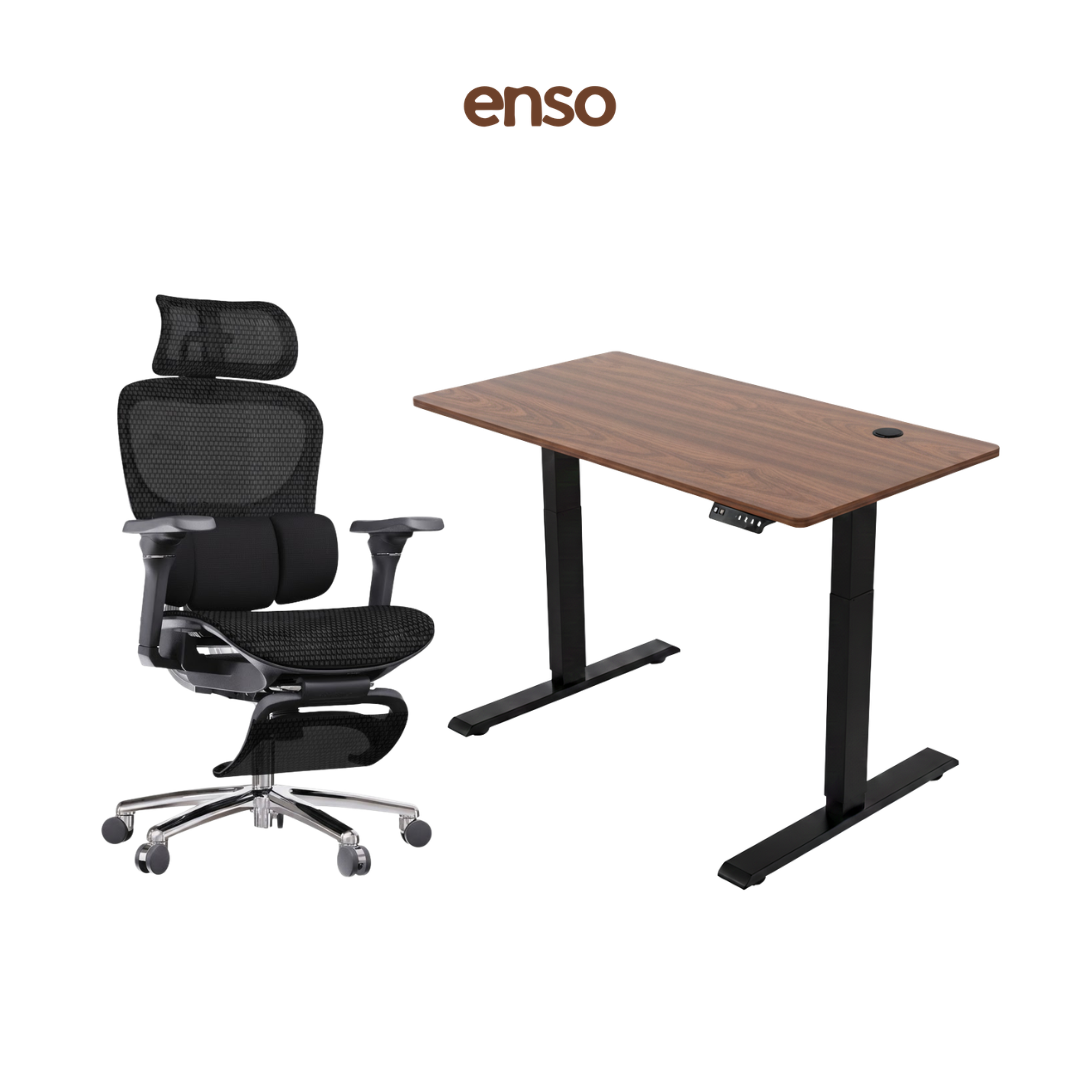 ZYRA Pro Ergonomic Office Chair + ENSO Standing Desk Bundle