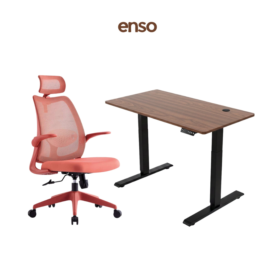 ELVORA Office Chair + ENSO Classic Standing Desk Bundle