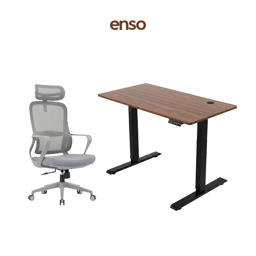 CALORA Ergonomic Office Chair + ENSO Standing Desk Bundle