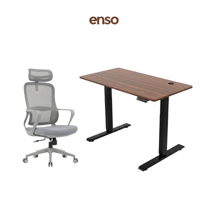 CALORA Ergonomic Office Chair + ENSO Standing Desk Bundle