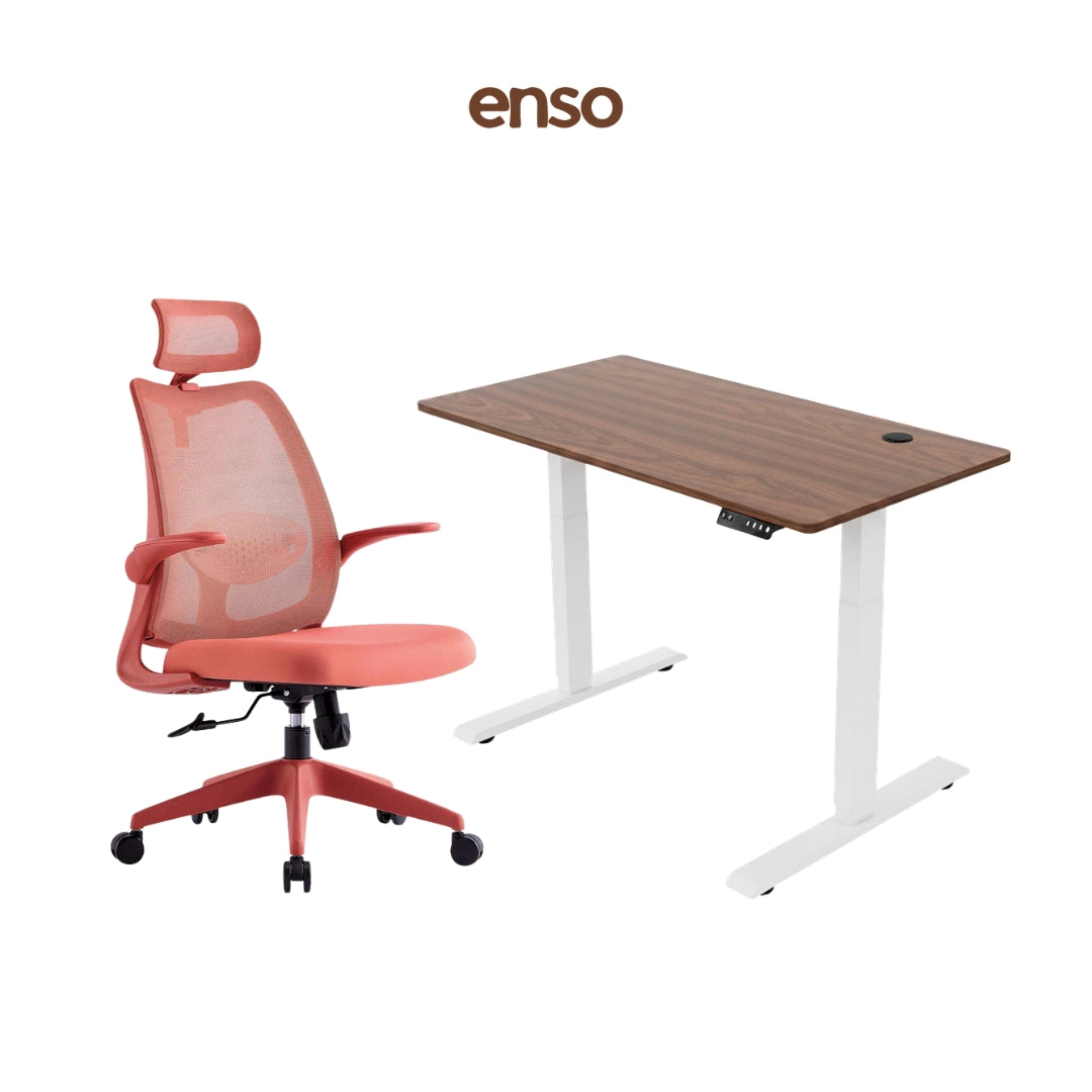 ELVORA Office Chair + ENSO Classic Standing Desk Bundle