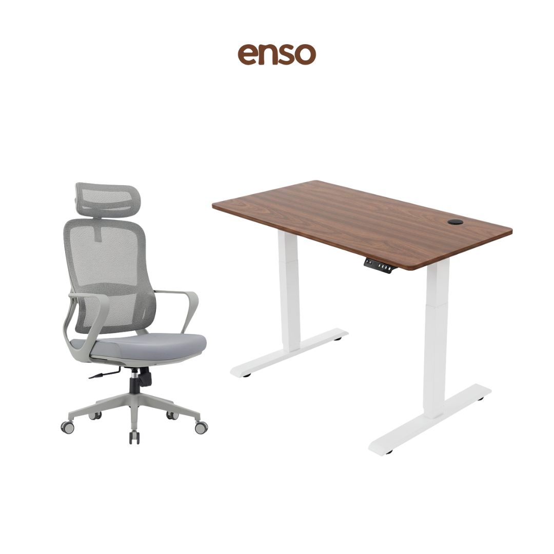 CALORA Ergonomic Office Chair + ENSO Standing Desk Bundle