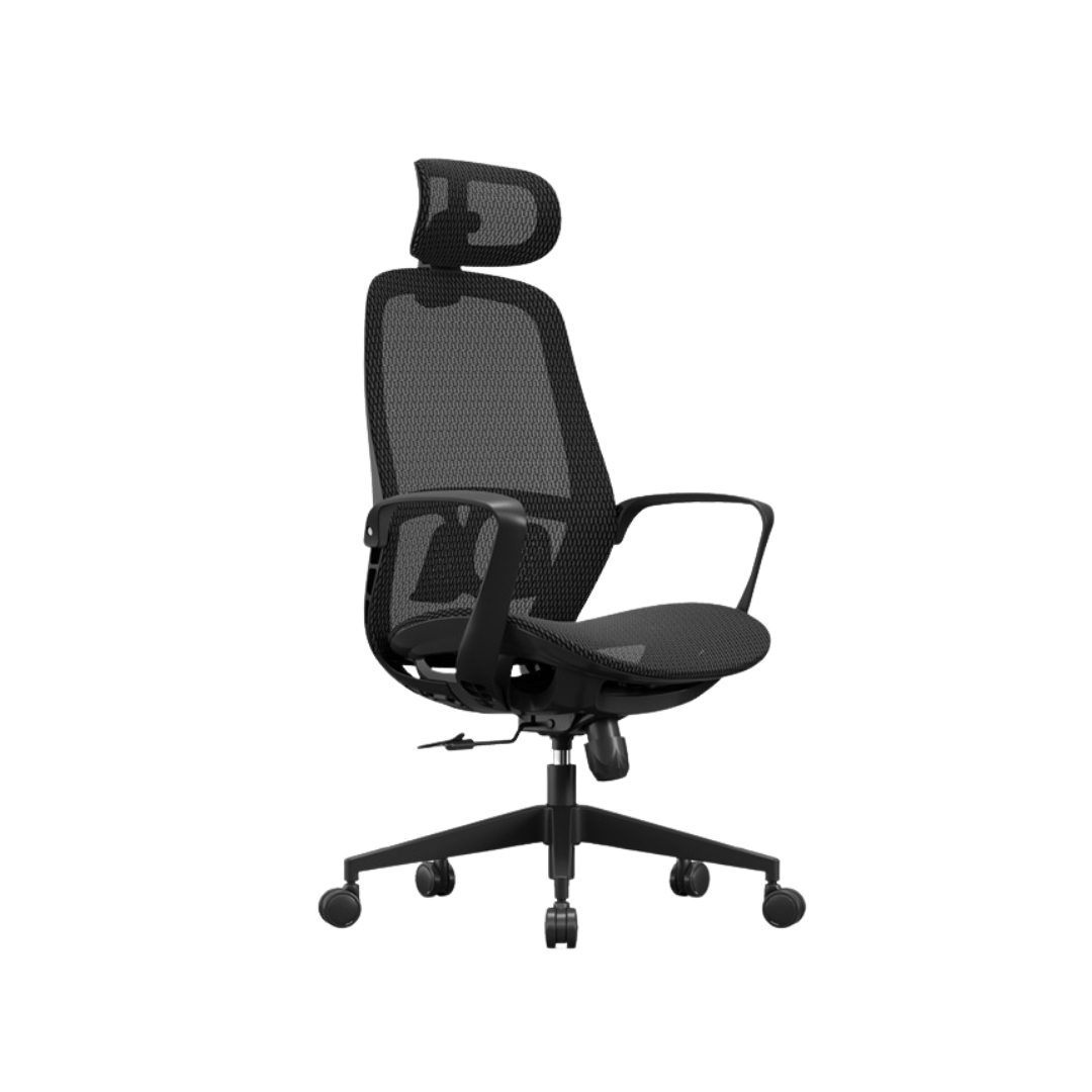 DEVRA Ergonomic Office Chair