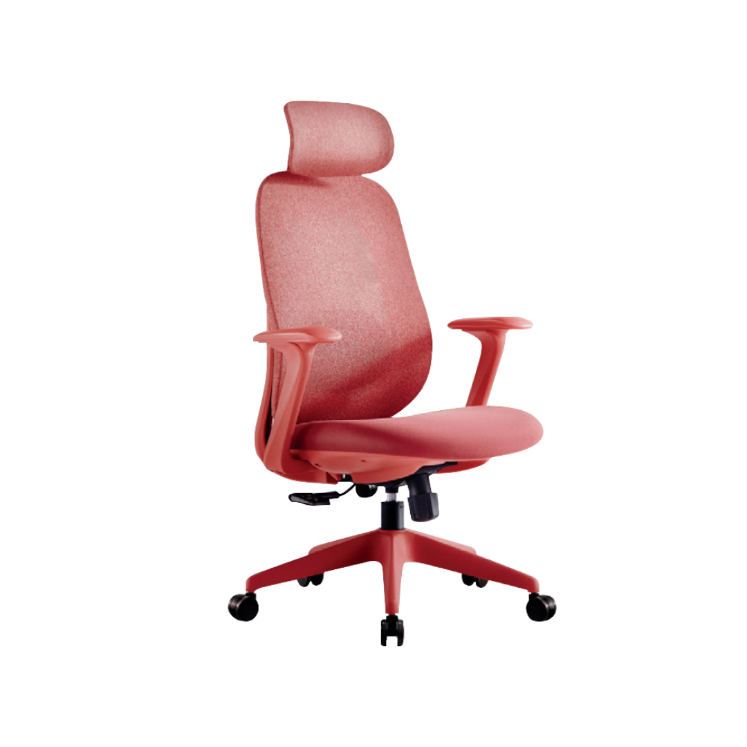 LUMORA Ergonomic Office Chair