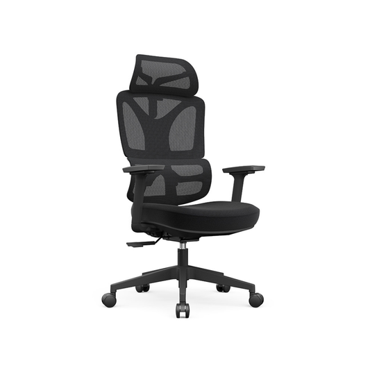 SELORA Ergonomic Office Chair (Foam Seat)