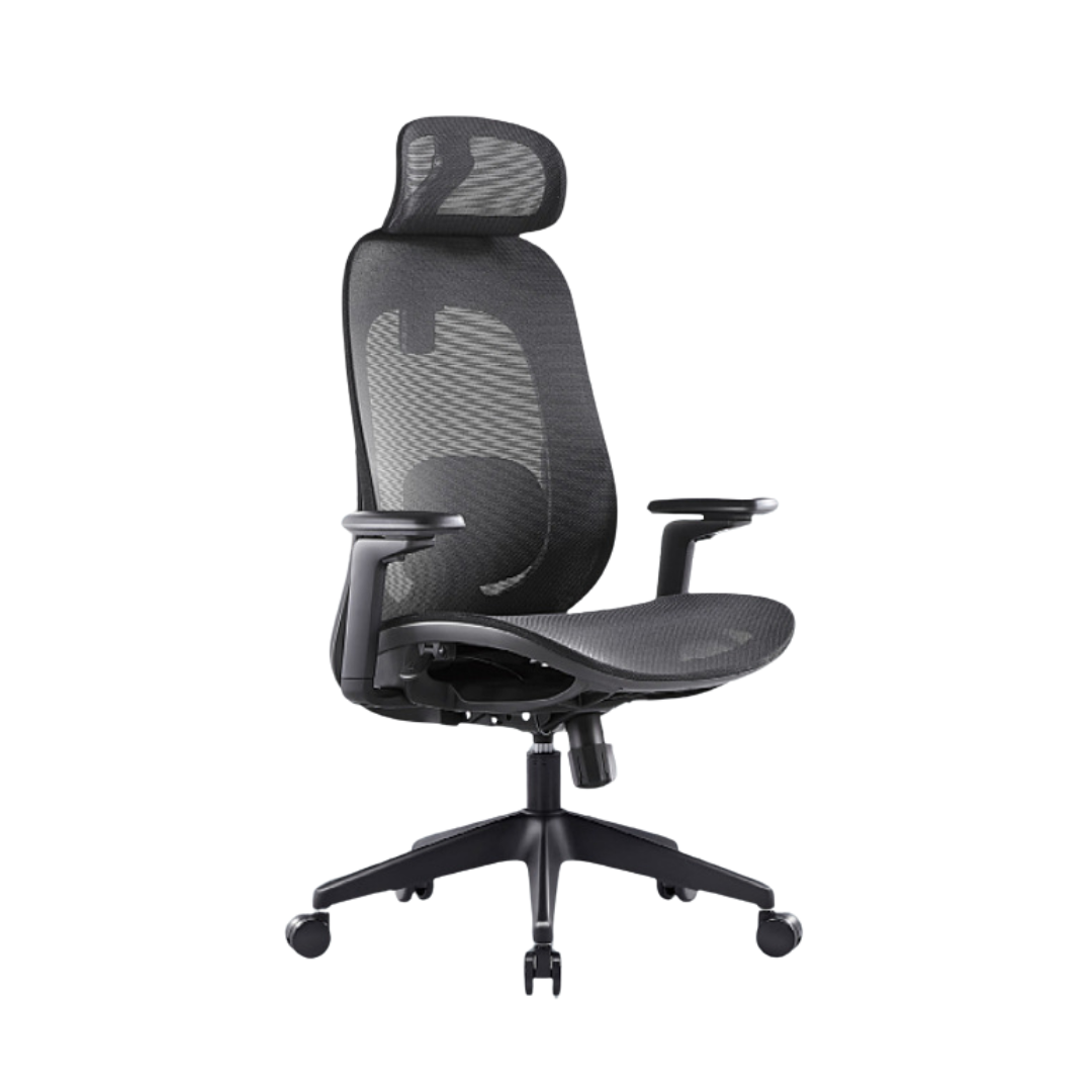 GALORA Ergonomic Office Chair