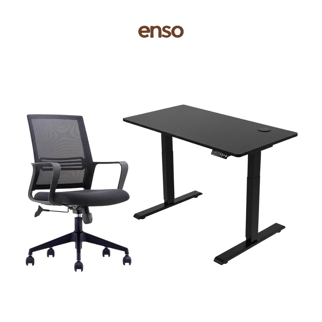 ASTRA Mesh Office Chair + ENSO Classic Standing Desk Bundle