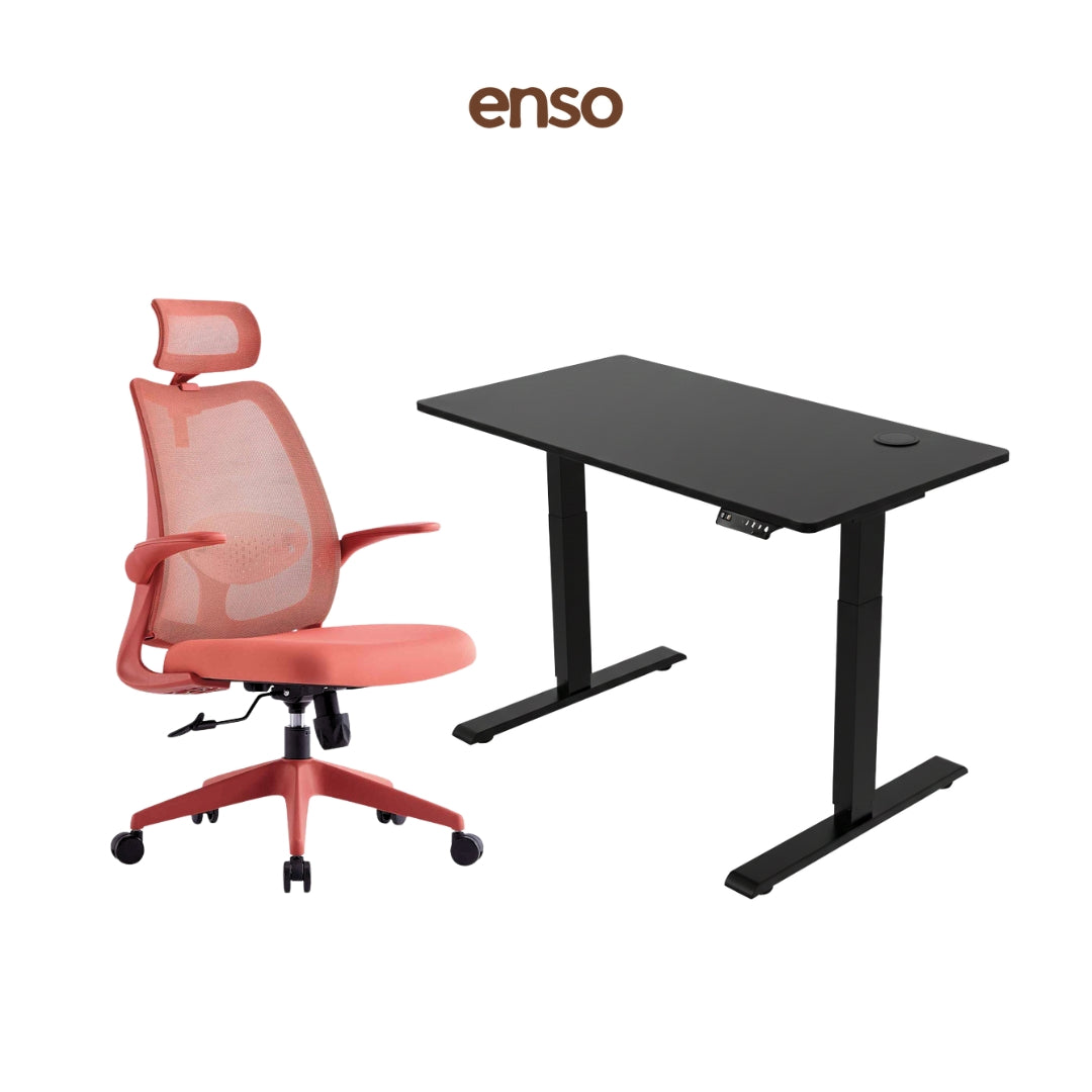 ELVORA Office Chair + ENSO Classic Standing Desk Bundle