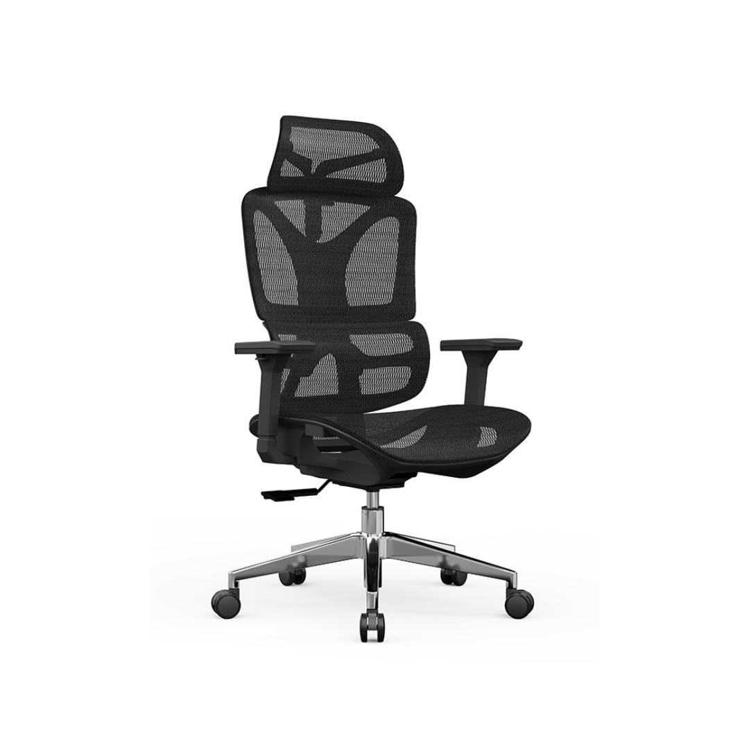 SELORA Ergonomic Office Chair (Mesh Seat)