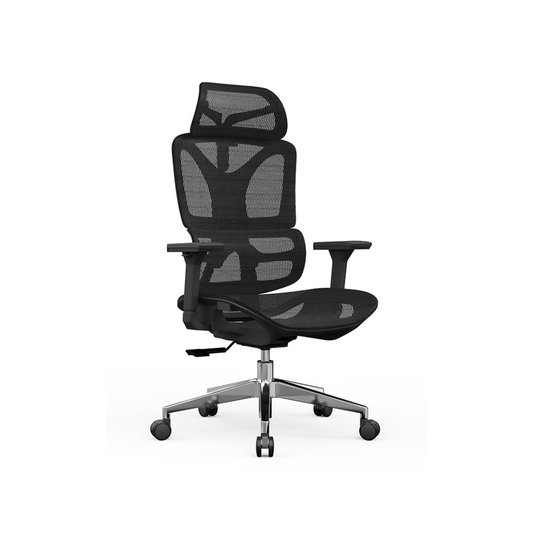 SELORA Ergonomic Office Chair (Mesh Seat)