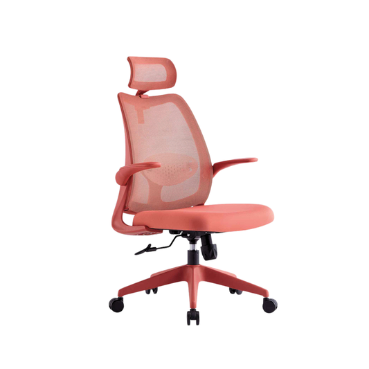 ELVORA Ergonomic Office Chair
