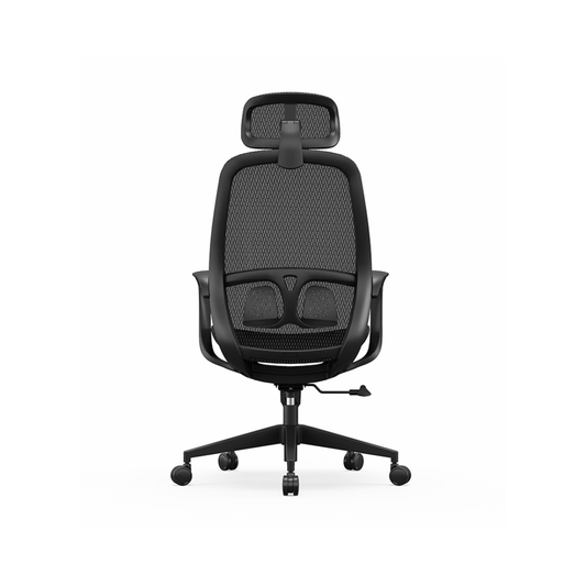 DEVRA Ergonomic Office Chair