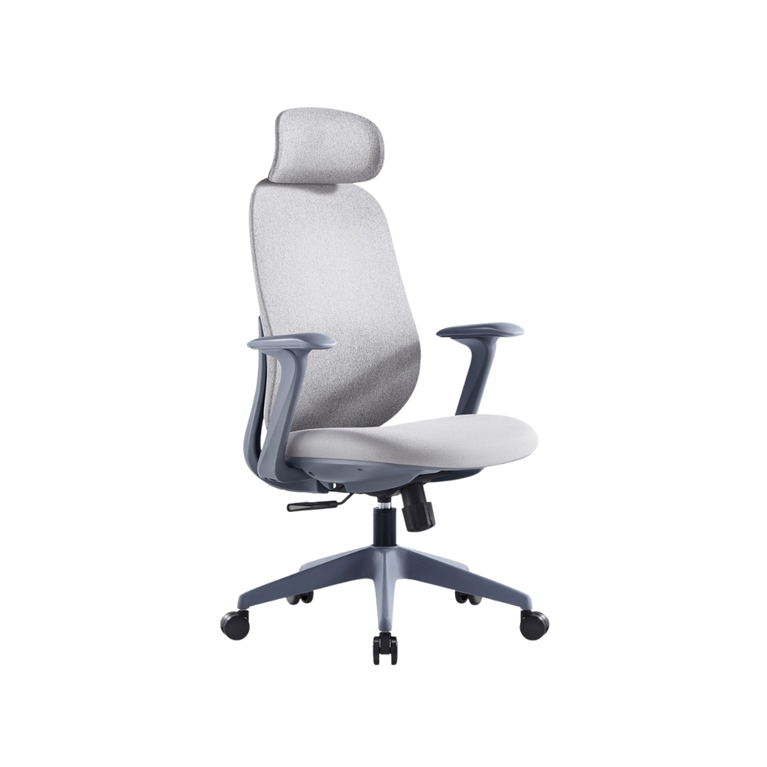 LUMORA Ergonomic Office Chair