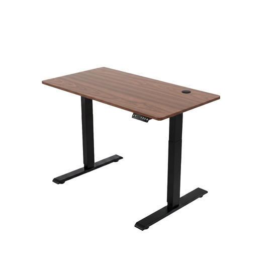 ENSŌ Elevate Standing Desk - Classic Walnut