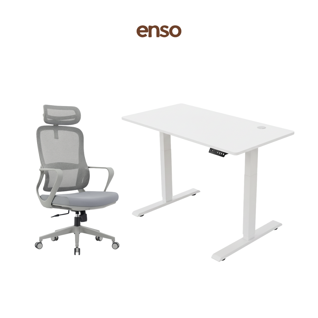 CALORA Ergonomic Office Chair + ENSO Standing Desk Bundle