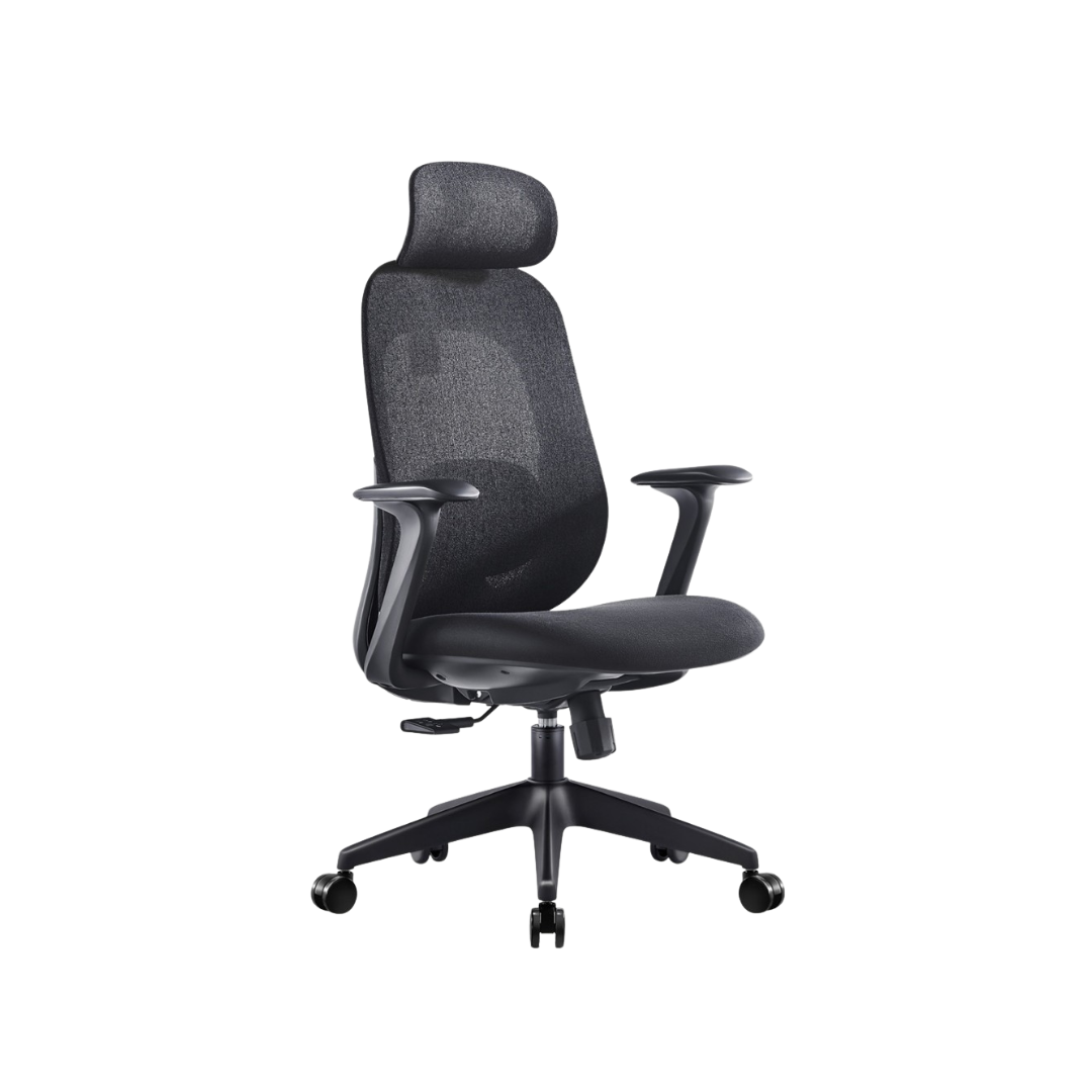 LUMORA Ergonomic Office Chair