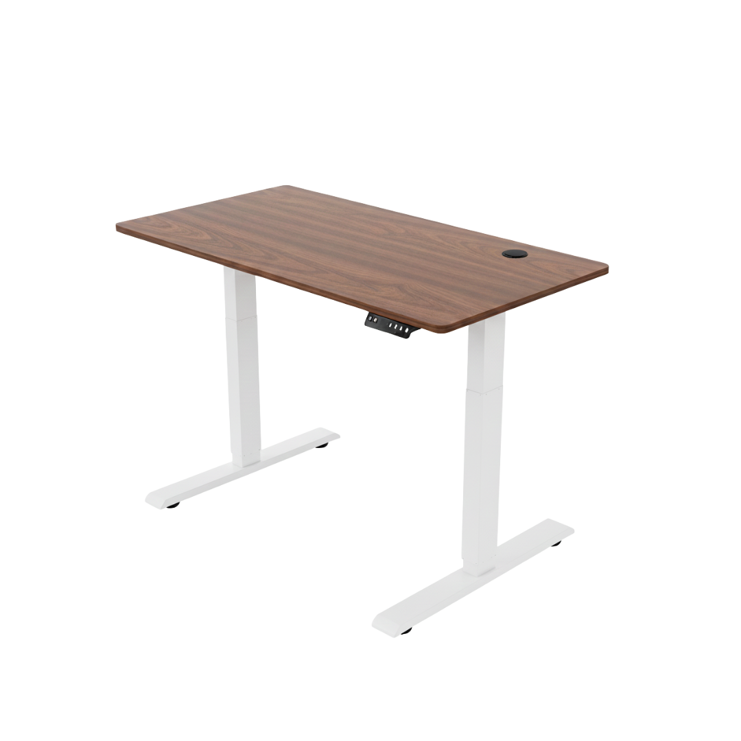 ENSŌ Elevate Standing Desk - Classic Walnut