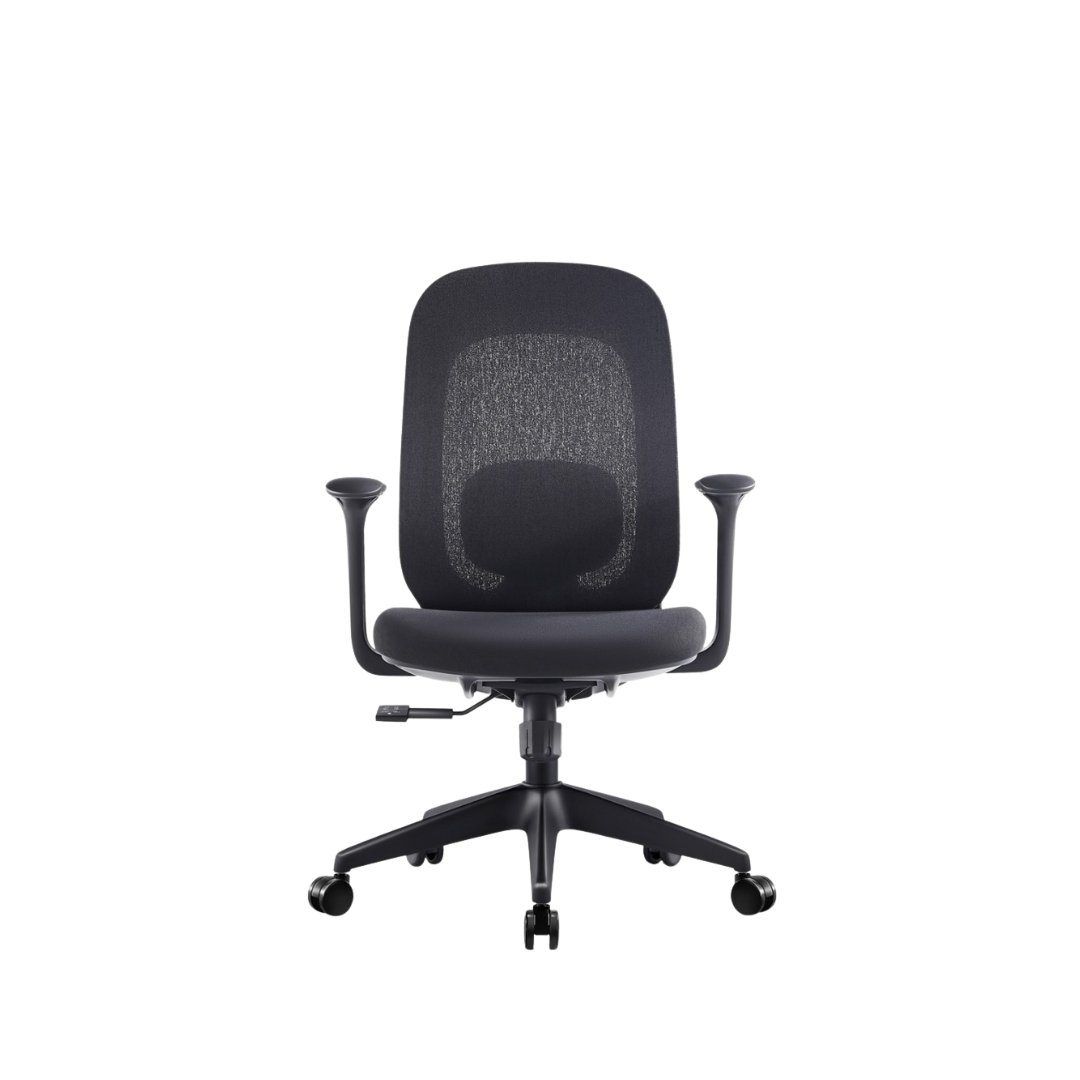 LUMORA Lite Ergonomic Office Chair