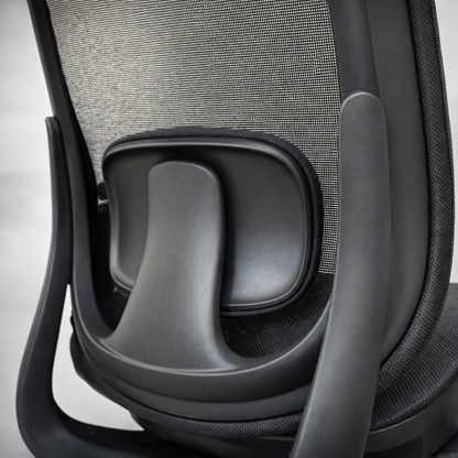 GALORA Ergonomic Office Chair
