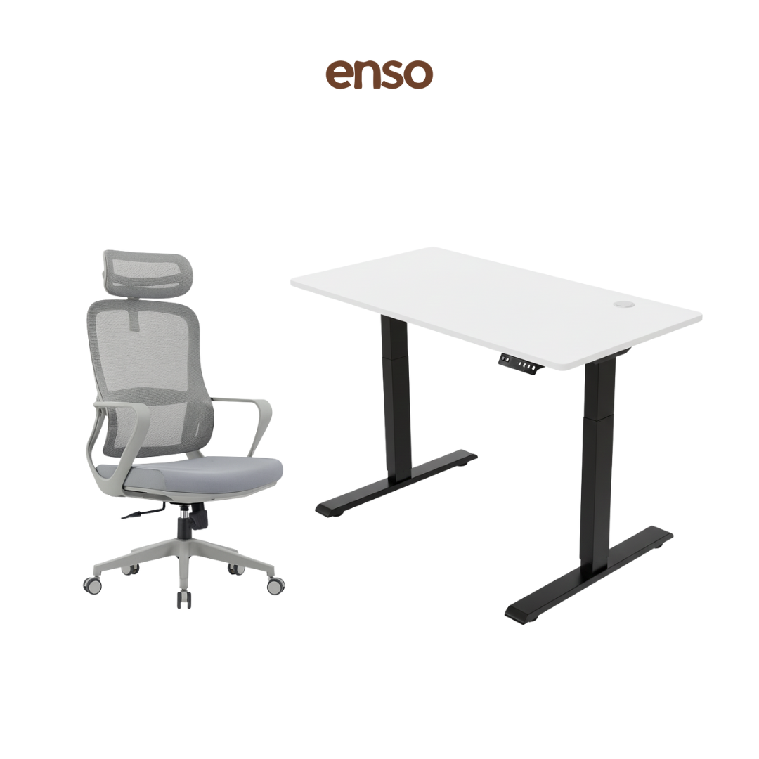 CALORA Ergonomic Office Chair + ENSO Standing Desk Bundle