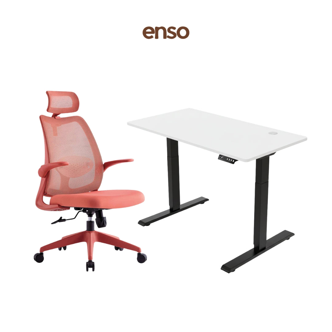 ELVORA Office Chair + ENSO Classic Standing Desk Bundle