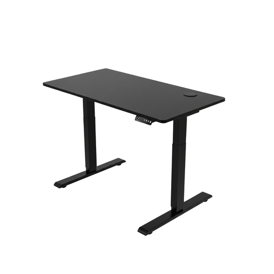 ENSŌ Elevate Standing Desk - Black