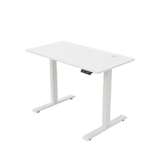 ENSŌ Elevate Standing Desk - White